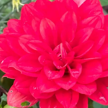 Einzelne Mit Gemeinschaft Dusche Apartament