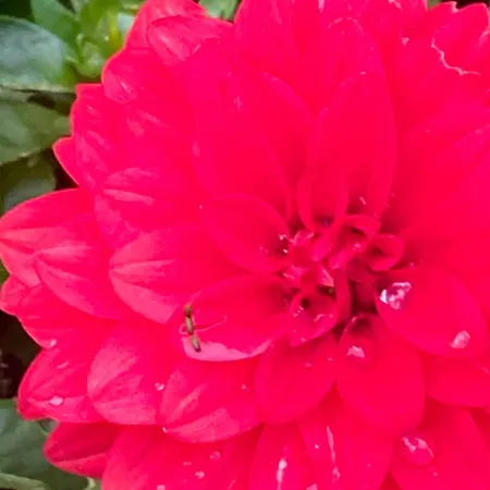 Apartament Einzelne Mit Gemeinschaft Dusche