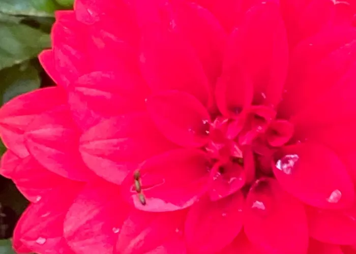 アパート Einzelne Mit Gemeinschaft Dusche